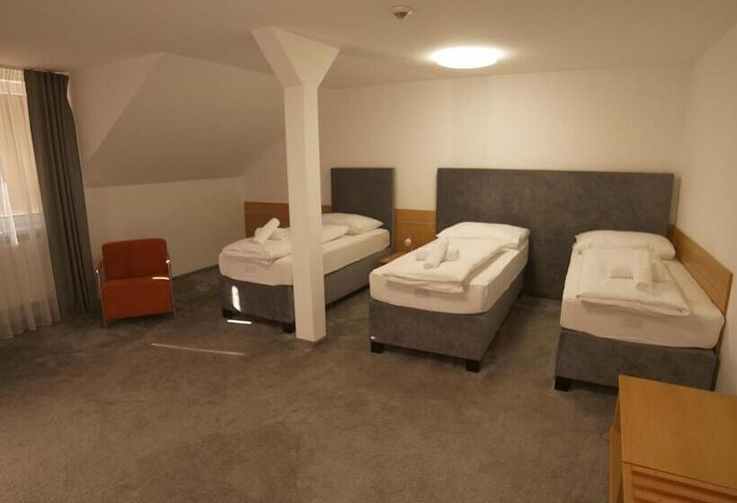 Номер Стандарт Трехместный, Novy Kastiel Self Check In