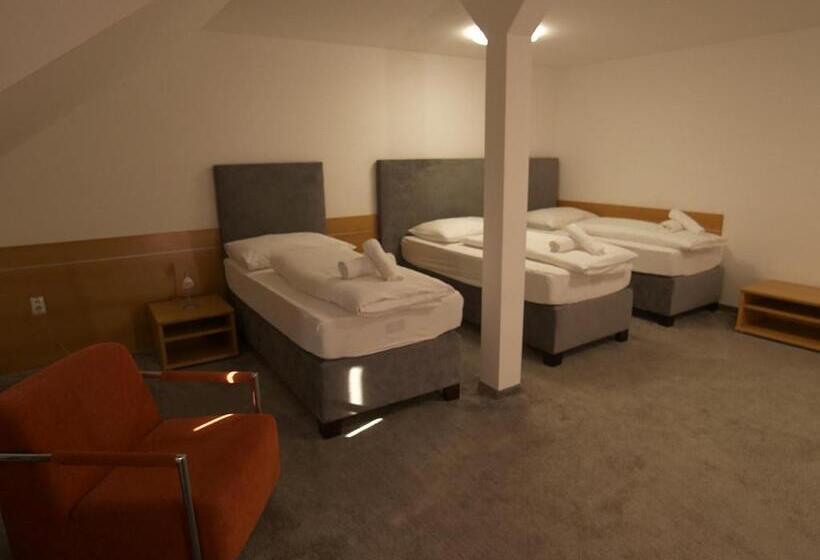 Номер Стандарт Трехместный, Novy Kastiel Self Check In