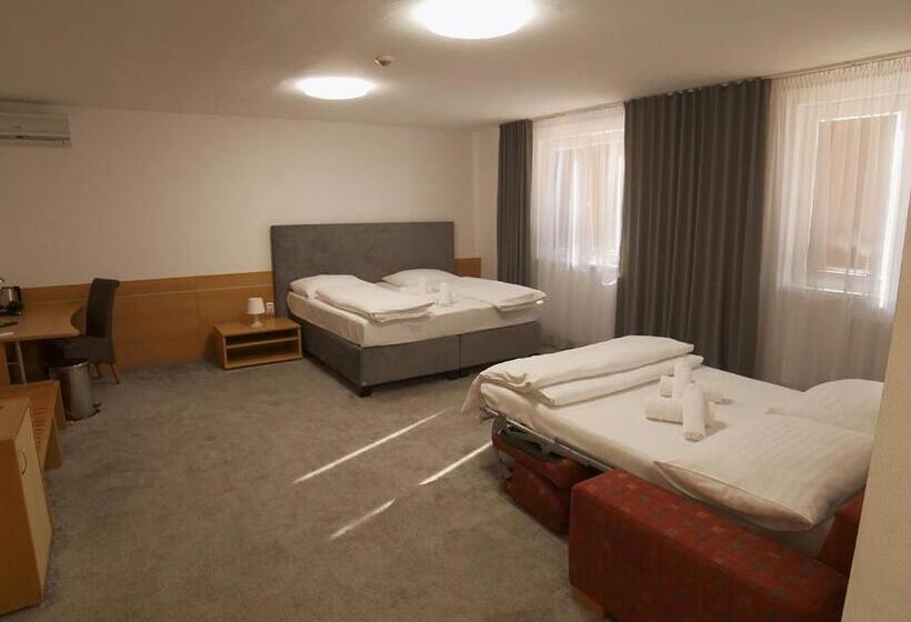 Четырехместный Номер Стандарт, Novy Kastiel Self Check In