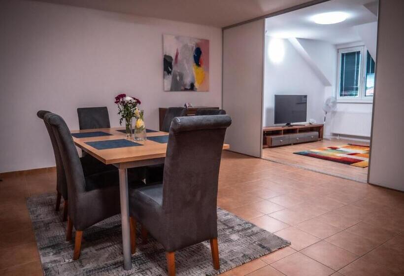 Семейное Студио, Novy Kastiel Self Check In