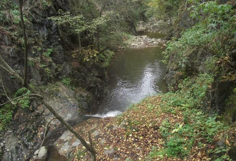 اتاق استاندارد با چشم‌انداز باغ, Guest House Mary