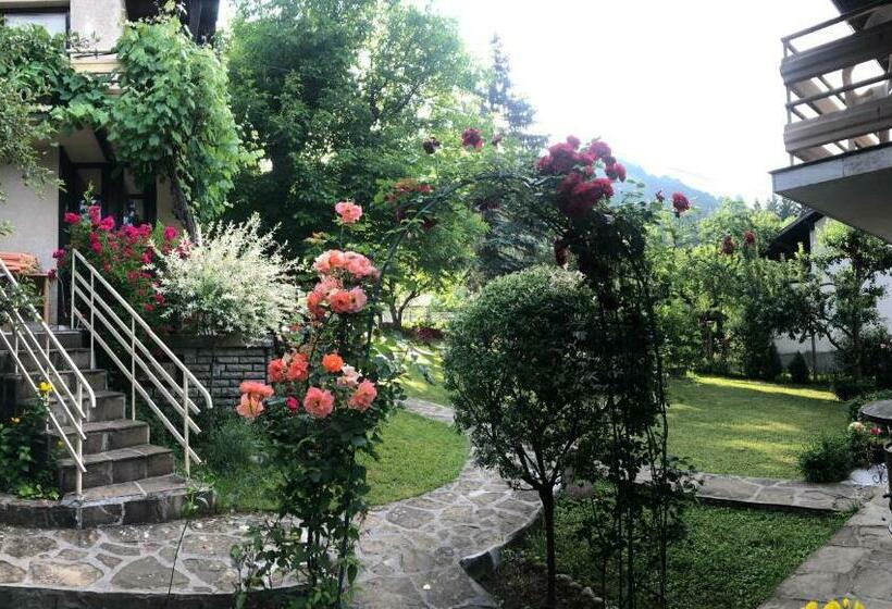 Апартаменты 1 Спальня Вид на Сад, Luylyana Guesthouse