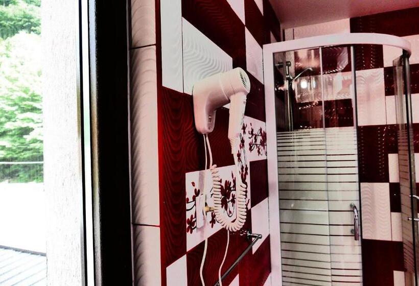 Номер Deluxe, Pensiunea Roua Florilor