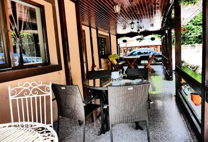 Номер Deluxe, Pensiunea Roua Florilor