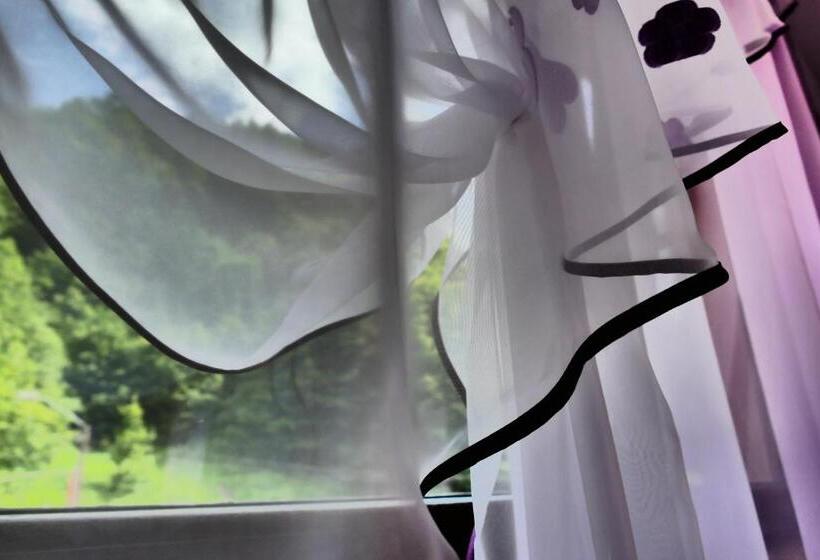 Семейный Номер, Pensiunea Roua Florilor