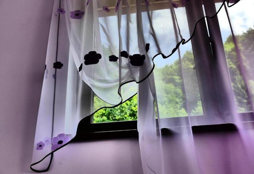 Семейный Номер, Pensiunea Roua Florilor