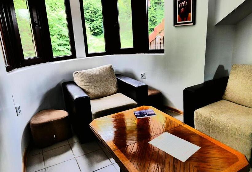 Апартаменты 2 Спальни, Pensiunea Roua Florilor