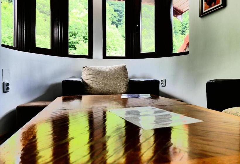 Апартаменты 2 Спальни, Pensiunea Roua Florilor