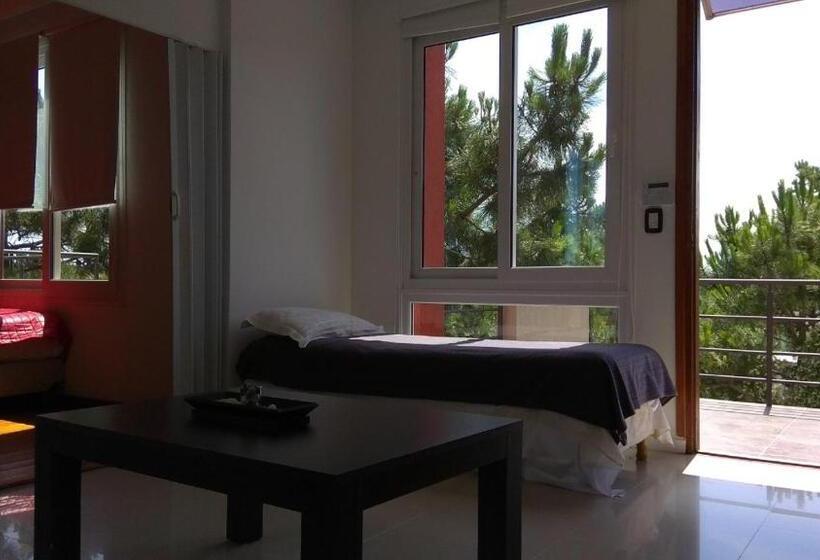 침실 1개 테라스 아파트, Punta 28