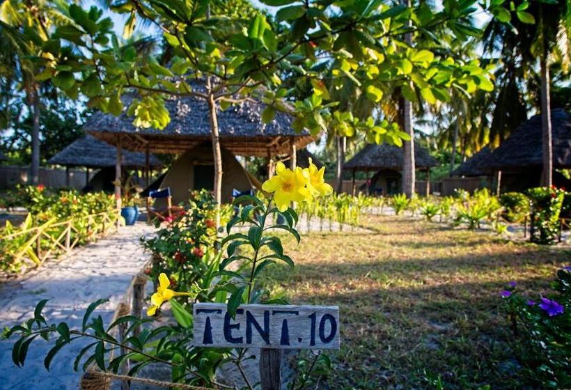 كوخ قياسي, Butiama Marine Camp