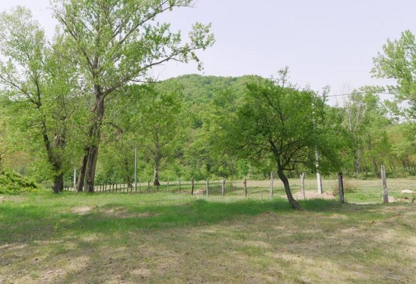 בית, חדר שינה 1, Pensiunea Happy