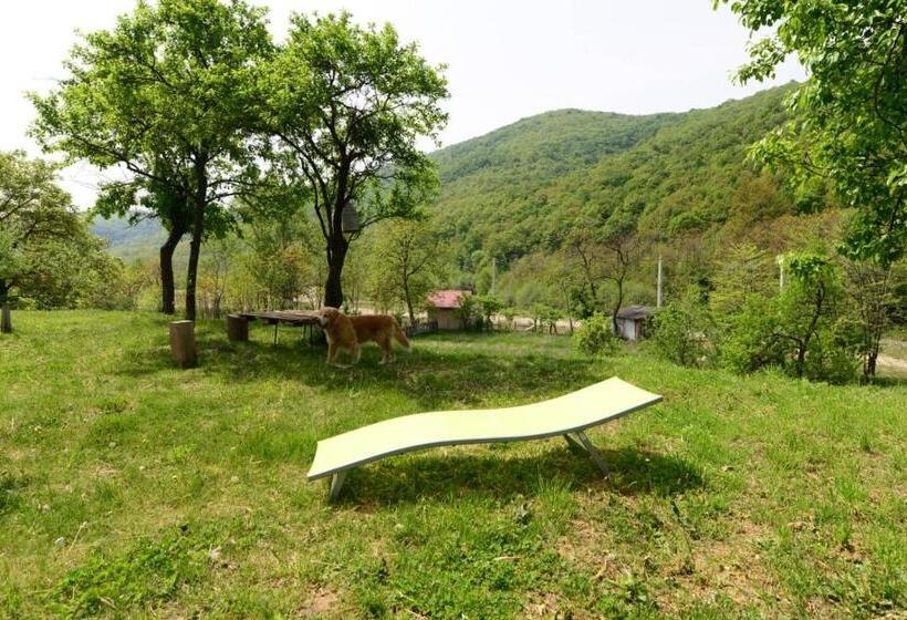 בית, חדר שינה 1, Pensiunea Happy