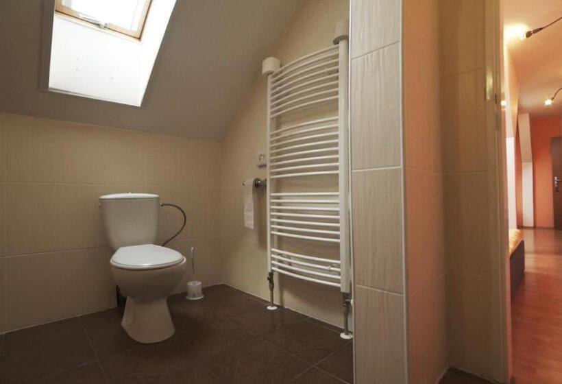 חדר סטנדרט, Villa Romaine