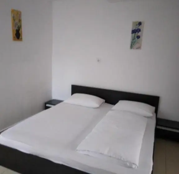 ビラホテル１ベッドルーム, Pensiunea Casa Ghica
