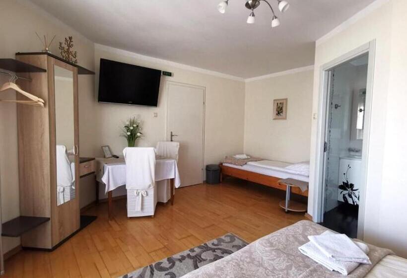 חדר משפחתי נוף לגינה, Pensiunea Evelyn