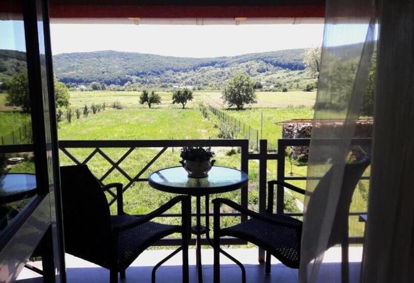 חדר משפחתי נוף לגינה, Pensiunea Evelyn