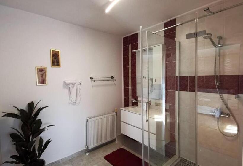 חדר משפחתי נוף לגינה, Pensiunea Evelyn