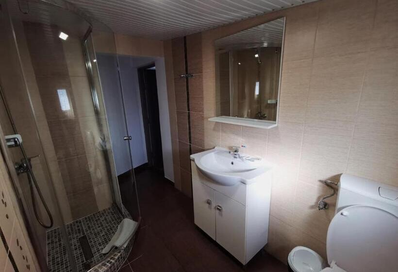 חדר בסיסי לשלושה, Pensiunea Evelyn