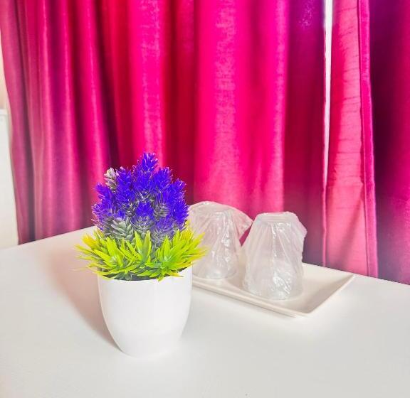 디럭스 룸, Pensiunea Fabian