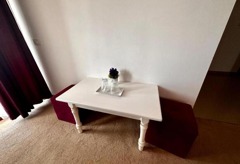 디럭스 룸, Pensiunea Fabian