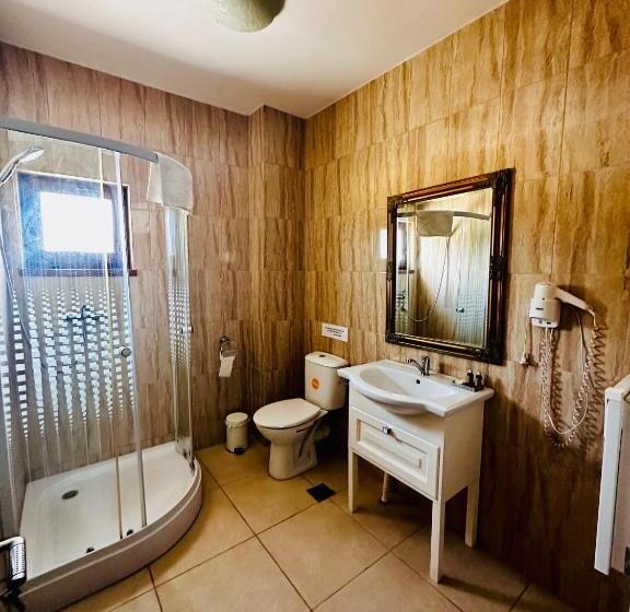 디럭스 룸, Pensiunea Fabian