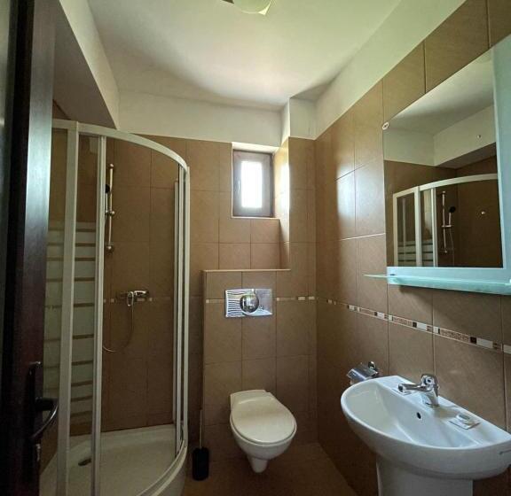 Номер Стандарт, Valea Salbatica