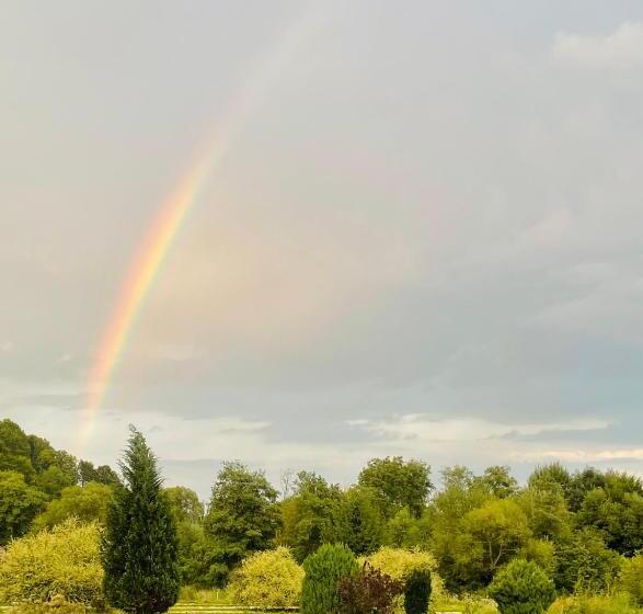 Вилла 1 Спальня, Valea Salbatica