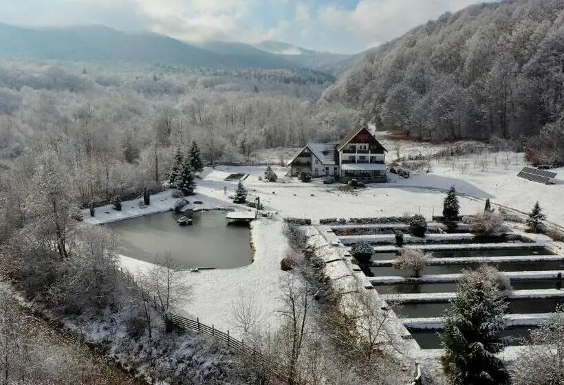 ビラホテル1ベッドルーム, Valea Salbatica