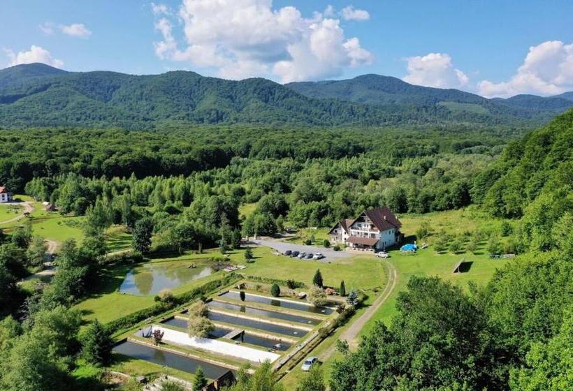 Вилла 1 Спальня, Valea Salbatica