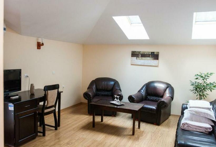 Апартаменты 1 Спальня, Pensiunea Splendid