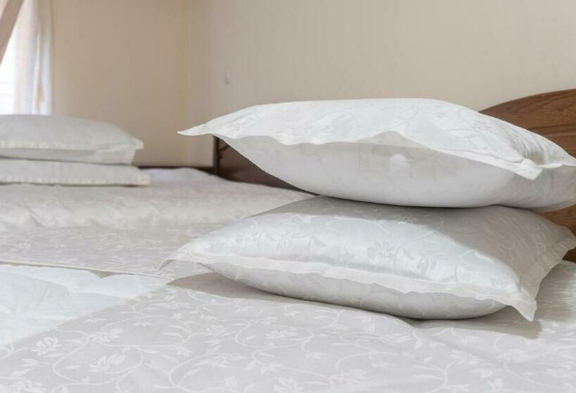 Номер Стандарт Индивидуальный, Pensiunea Splendid