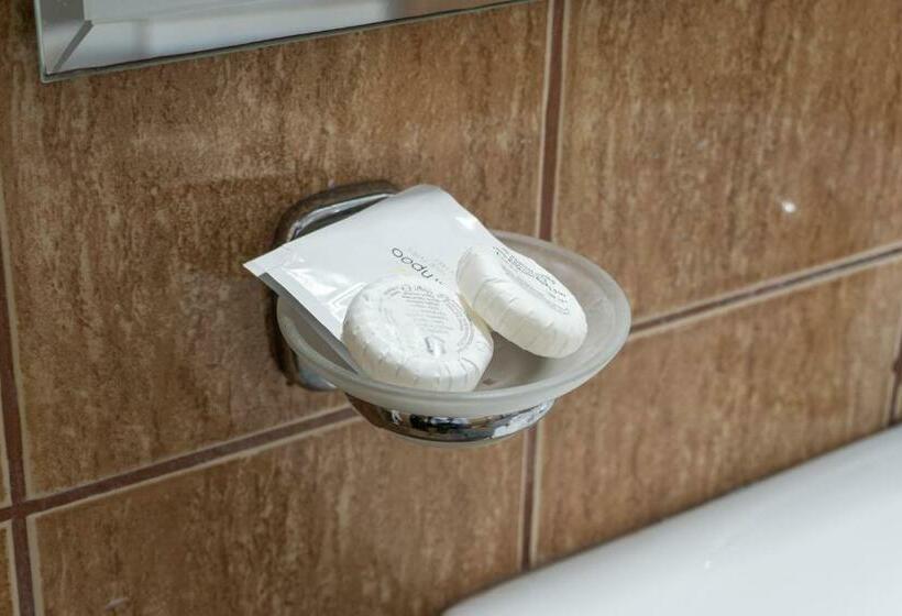 Апартаменты 1 Спальня, Pensiunea Splendid