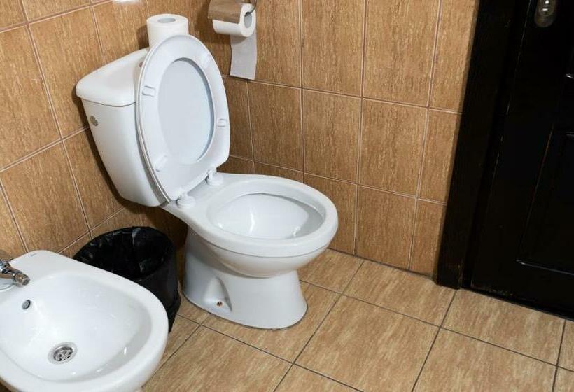 Апартаменты 1 Спальня, Pensiunea Splendid