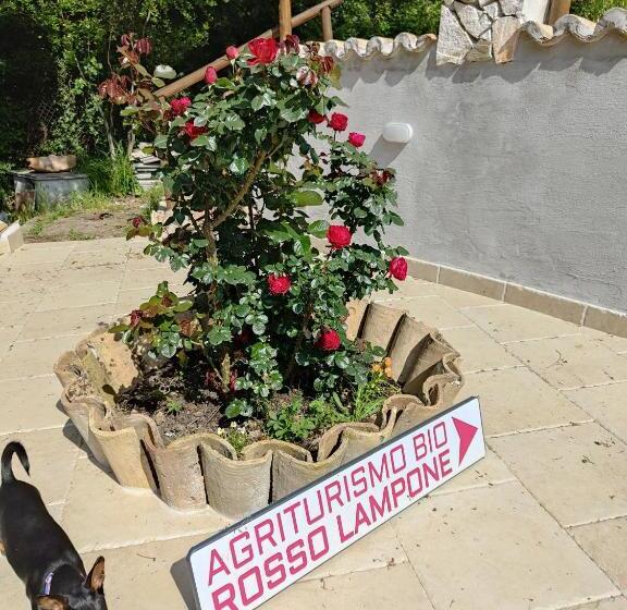デラックスファミリールーム, Agriturismo Rosso Lampone