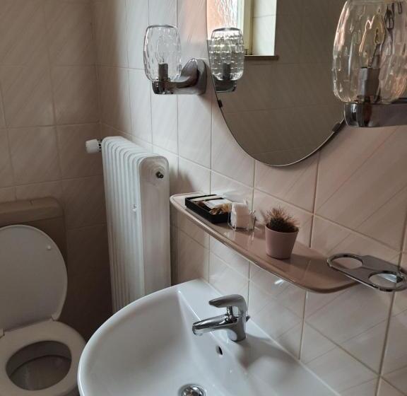 スタンダードシングルルーム, Pension Brenz