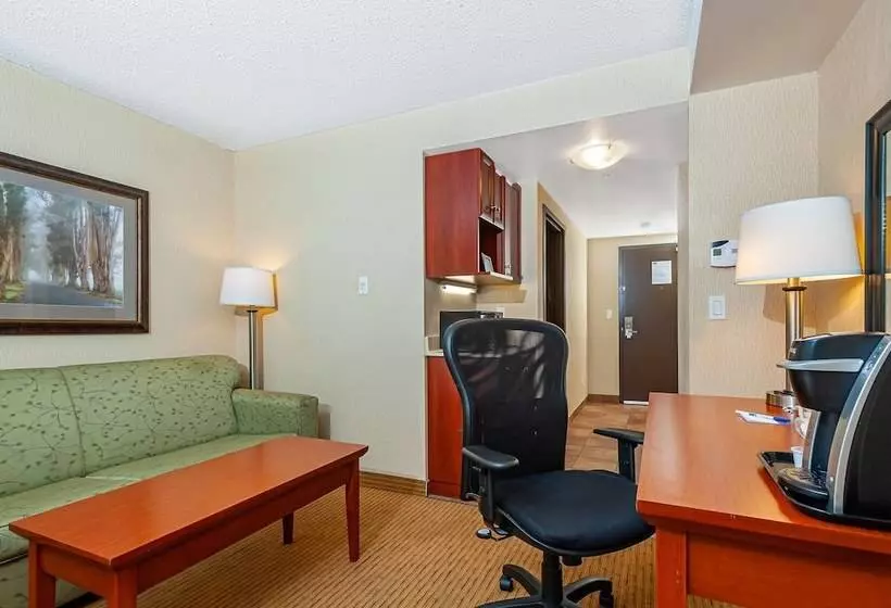 スイート, Holiday Inn Express Hotel & Suites Clarington   Bowmanville, An Ihg