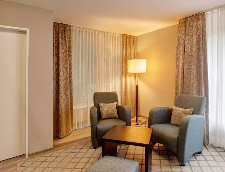 デラックスルーム, Art Hotel Superior