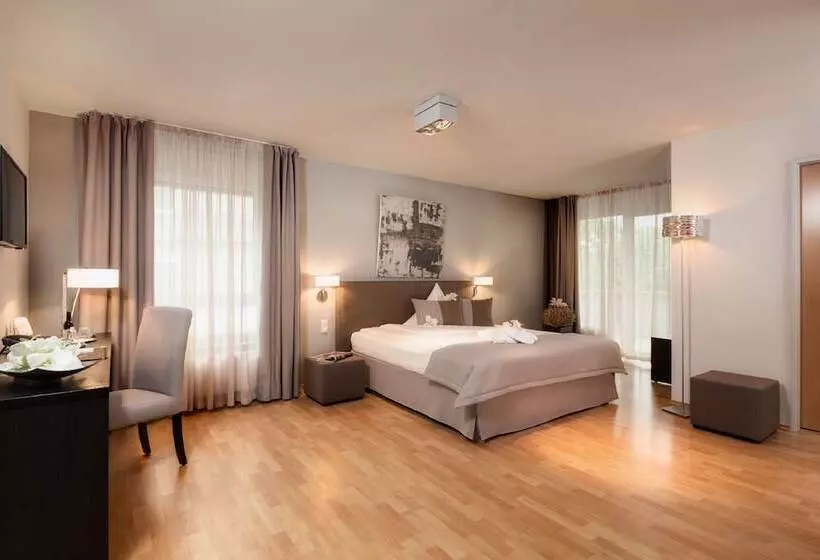 デラックスルーム, Art Hotel Superior