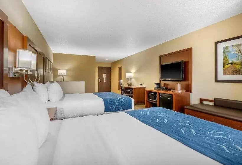 سوییت, Comfort Suites