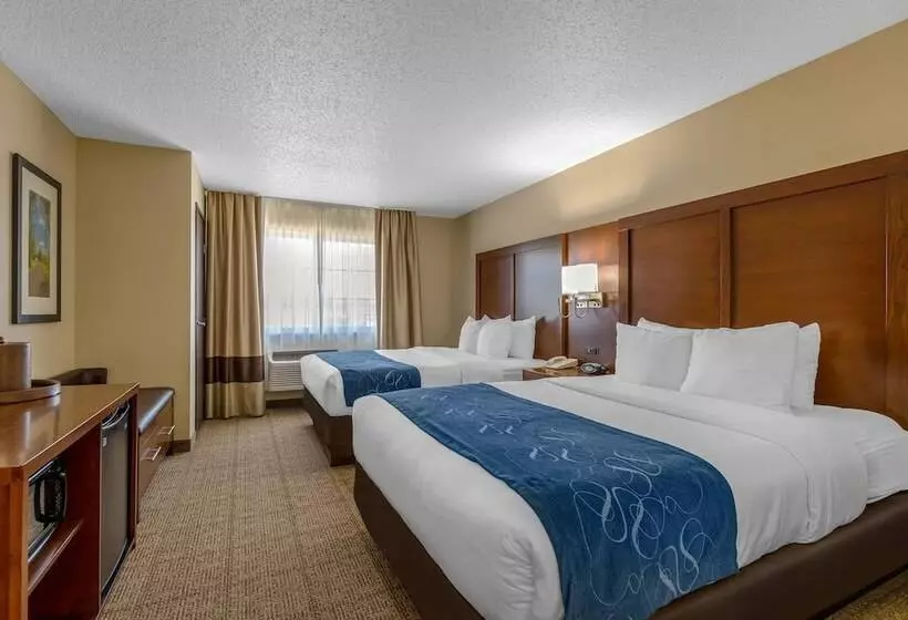 سوییت, Comfort Suites