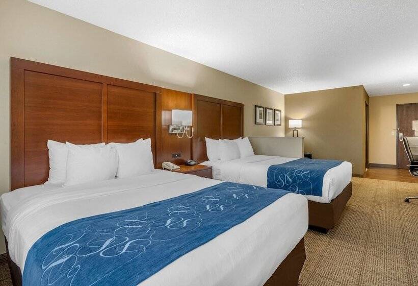 Люкс, Comfort Suites