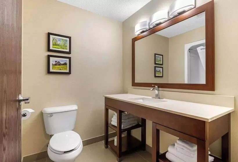 سوییت, Comfort Suites