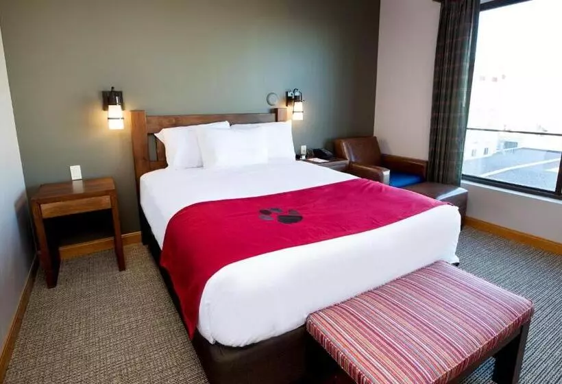 ファミリールーム, Great Wolf Lodge  Bloomington