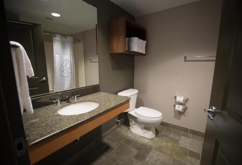 스위트 킹사이즈 침대, Great Wolf Lodge Bloomington