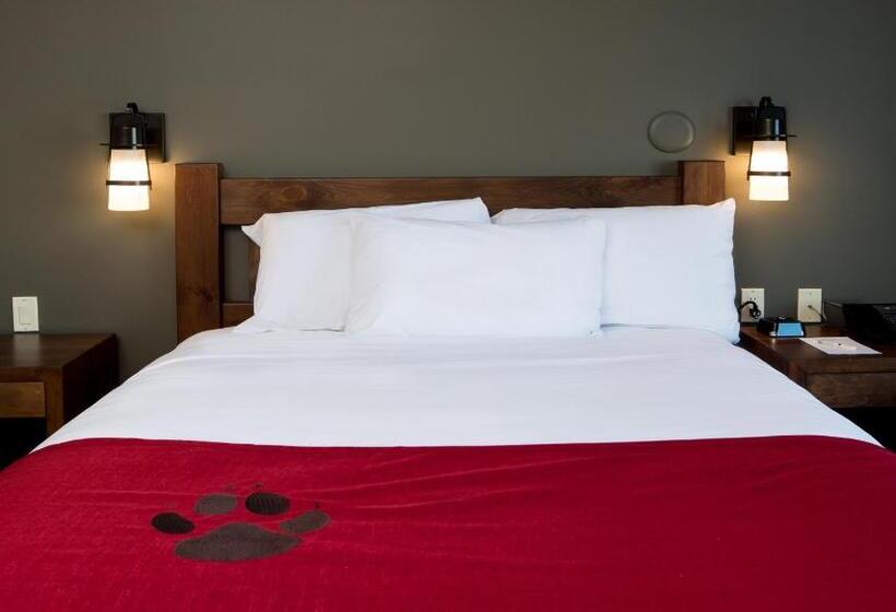 침실 2개 스위트, Great Wolf Lodge Bloomington