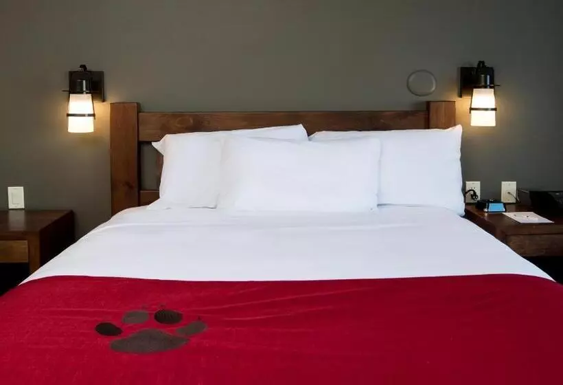 ２ベッドスイートルーム, Great Wolf Lodge  Bloomington
