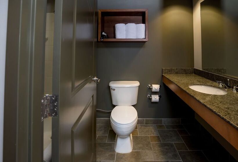 스위트, Great Wolf Lodge Bloomington