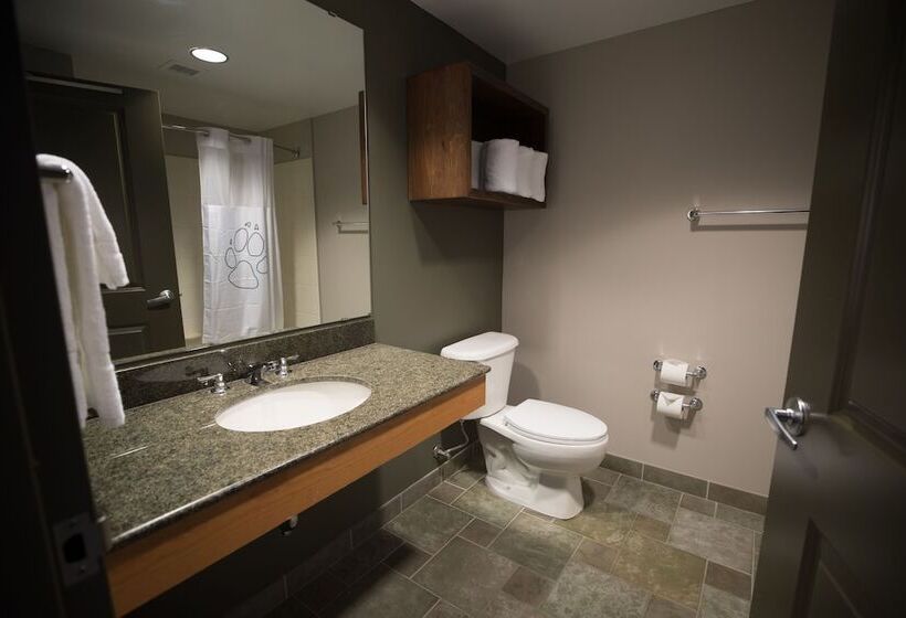 Люкс, Great Wolf Lodge  Bloomington