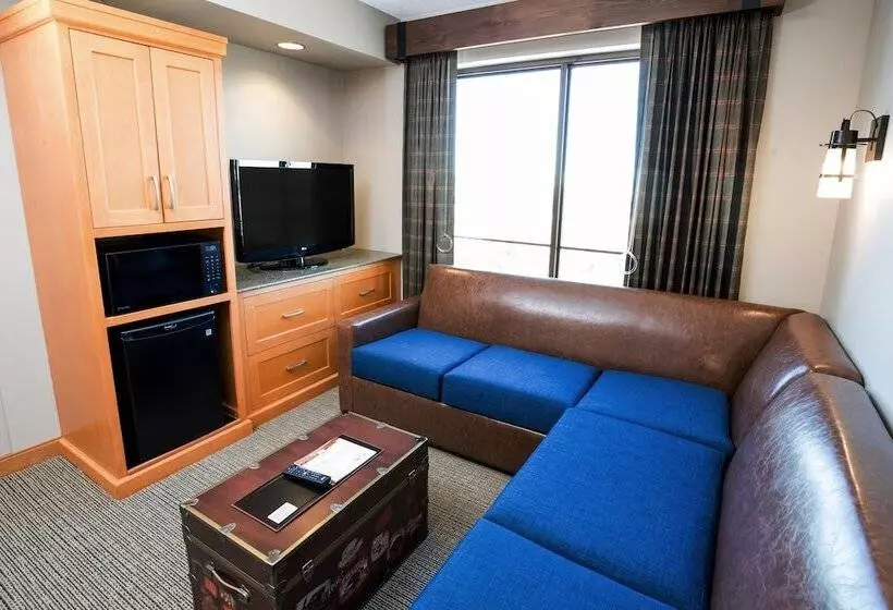スイート（家族用）, Great Wolf Lodge  Bloomington