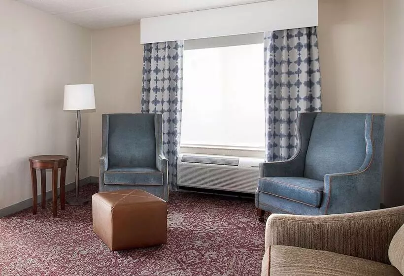 Sviitti, Hilton Garden Inn Cleveland Downtown